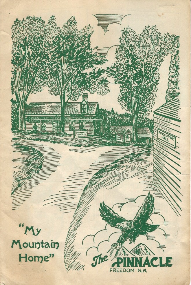 Pinnacle resort brochure-pg1